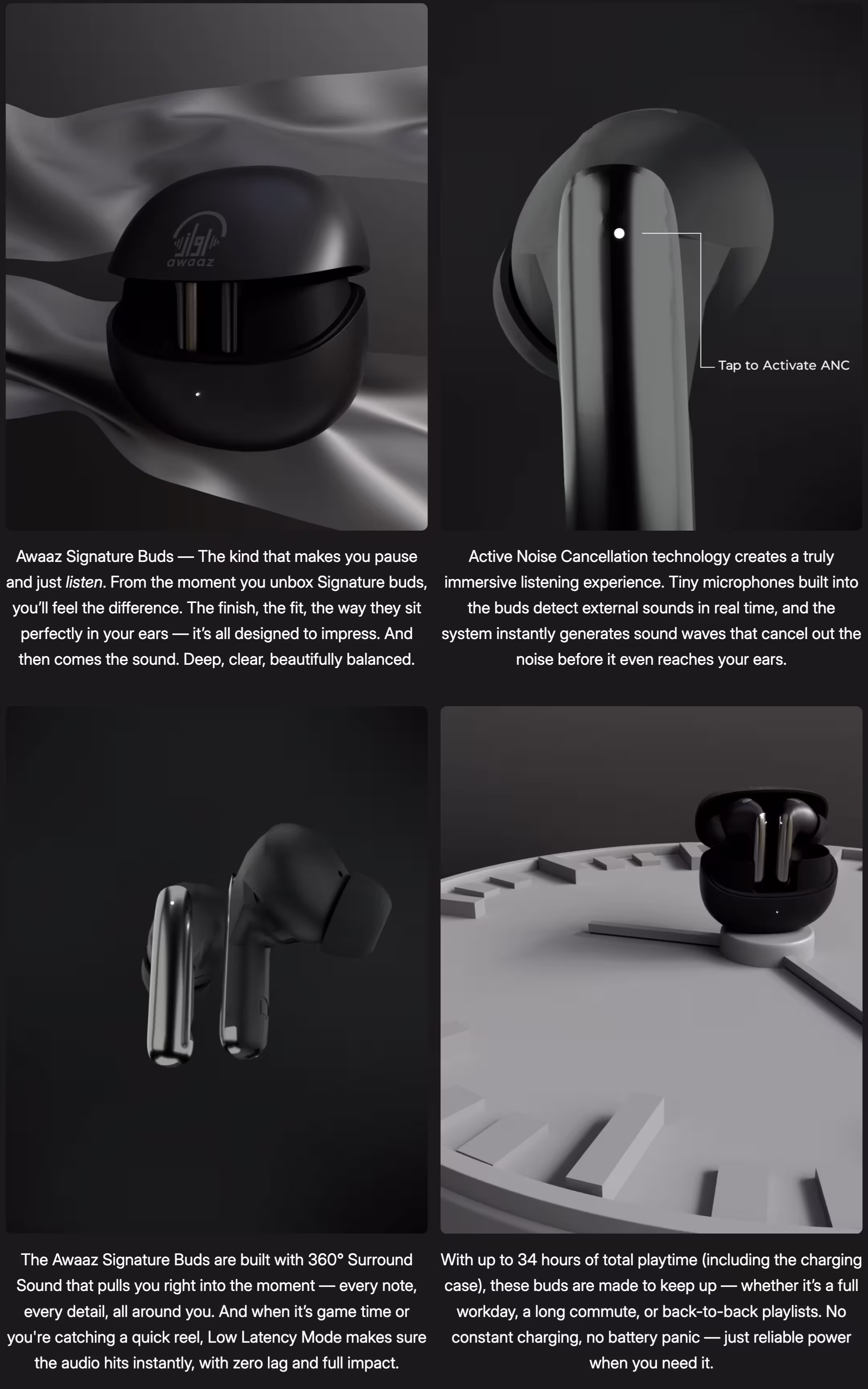 Taar Awaaz Signature Earbuds infographic