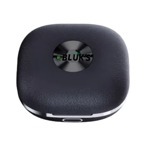 Bluks BX-580 Earbuds closed case