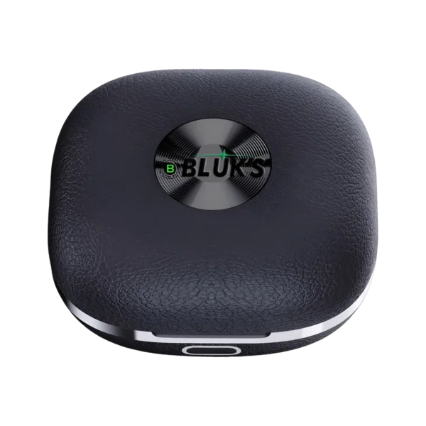 Bluks BX-580 Earbuds closed case