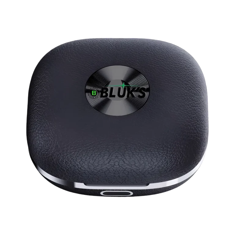 Bluks BX-580 Earbuds closed case