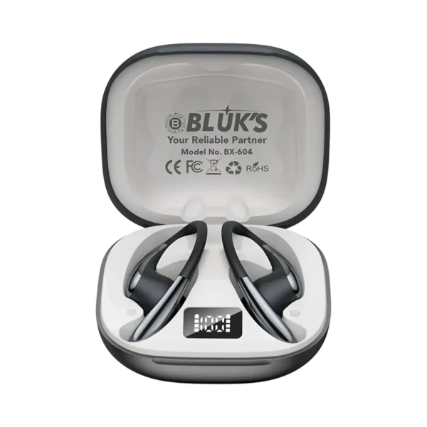 Bluks BX-604 Earbuds Price in Pakistan