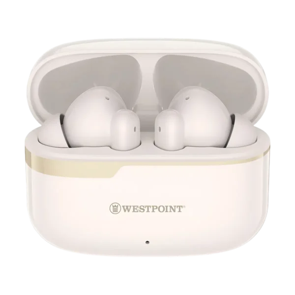  WestPoint WP-140 Earbuds case