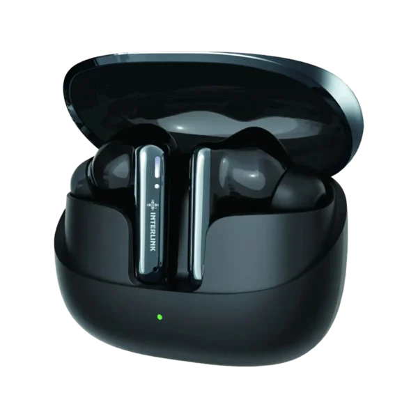 Interlink Duo Earbuds in black