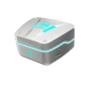 Maxon G-300 Earbuds Case